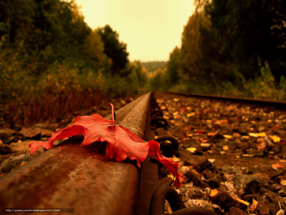 Песни про осень - Осенние дорожки фото