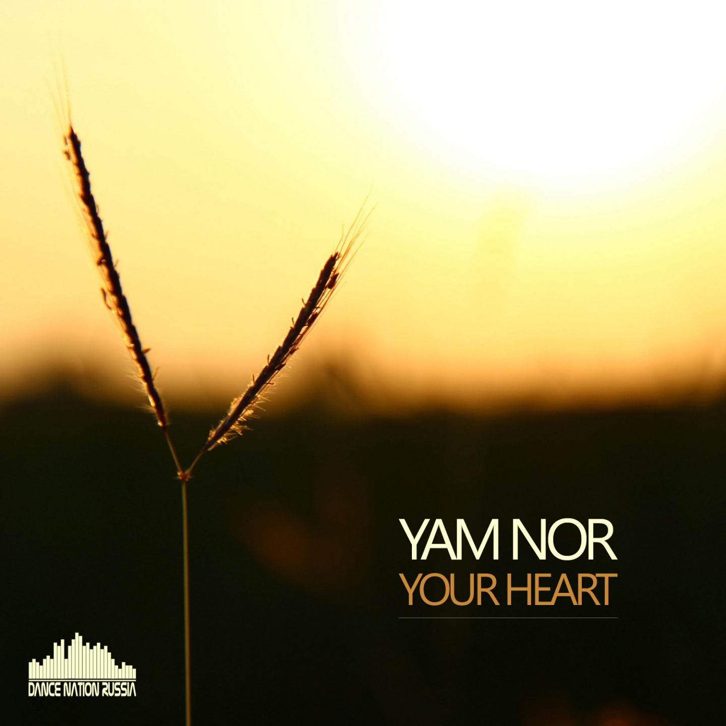 2017 Yam Nor - Your Heart (Radio Edit) фото