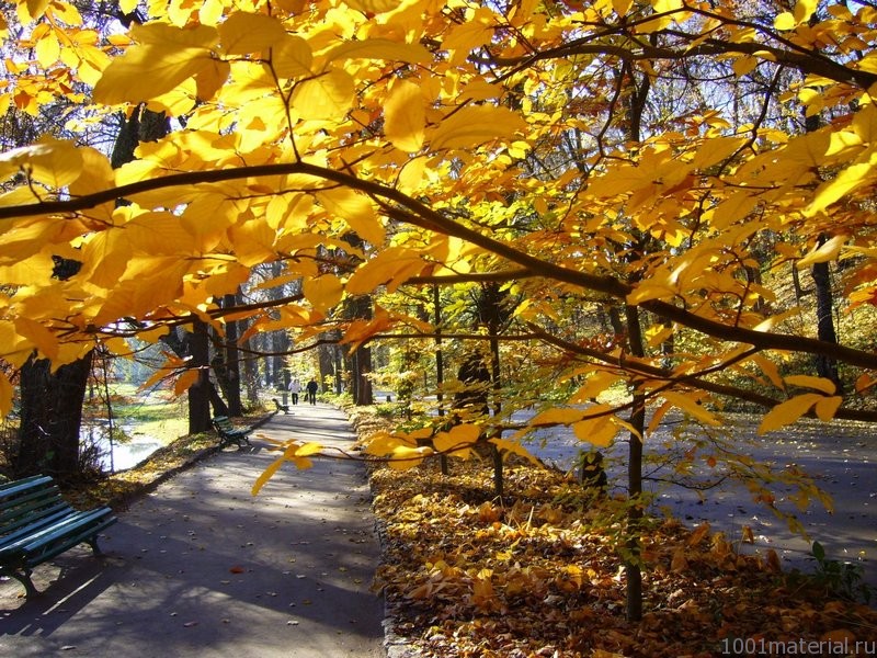Осенние песенки - Листик желтый фото