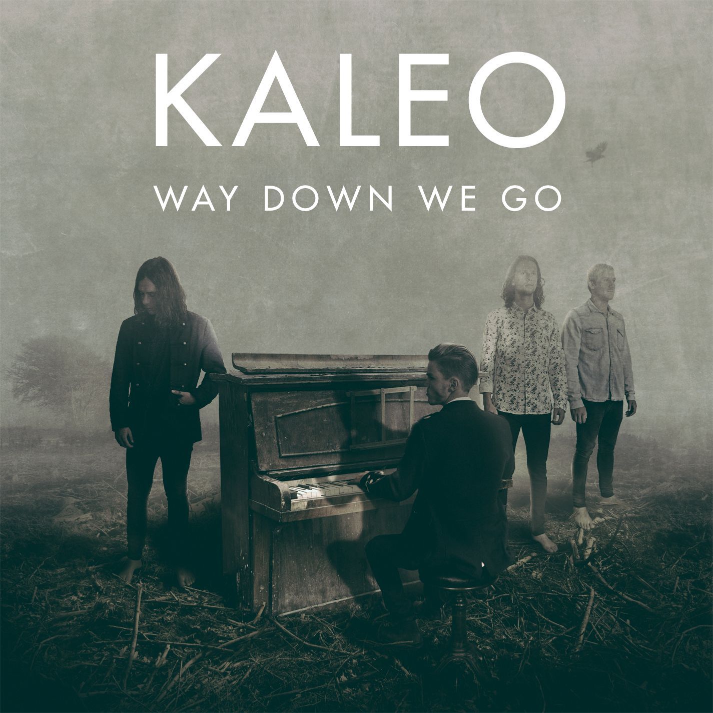 PZ music - Kaleo - Way Down We Go (Cover фото