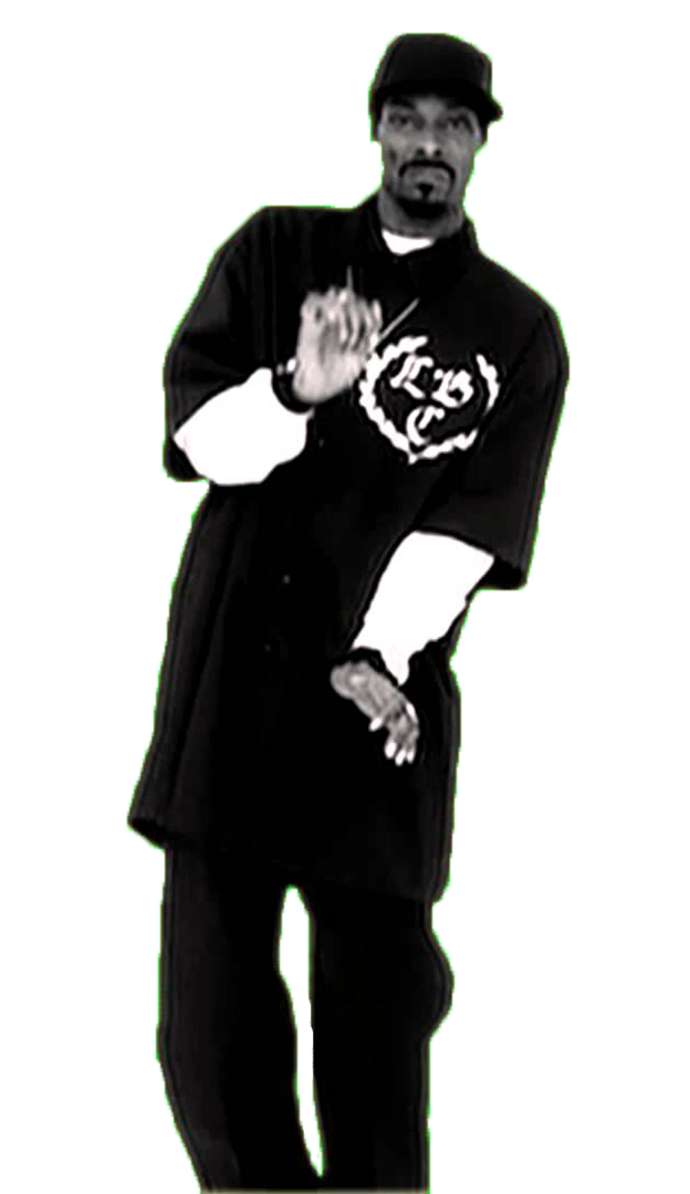 Snoop Dog feat. Dr.Dre - Smoke Weed Everyday (MLG Remix) (zaycev.net) фото