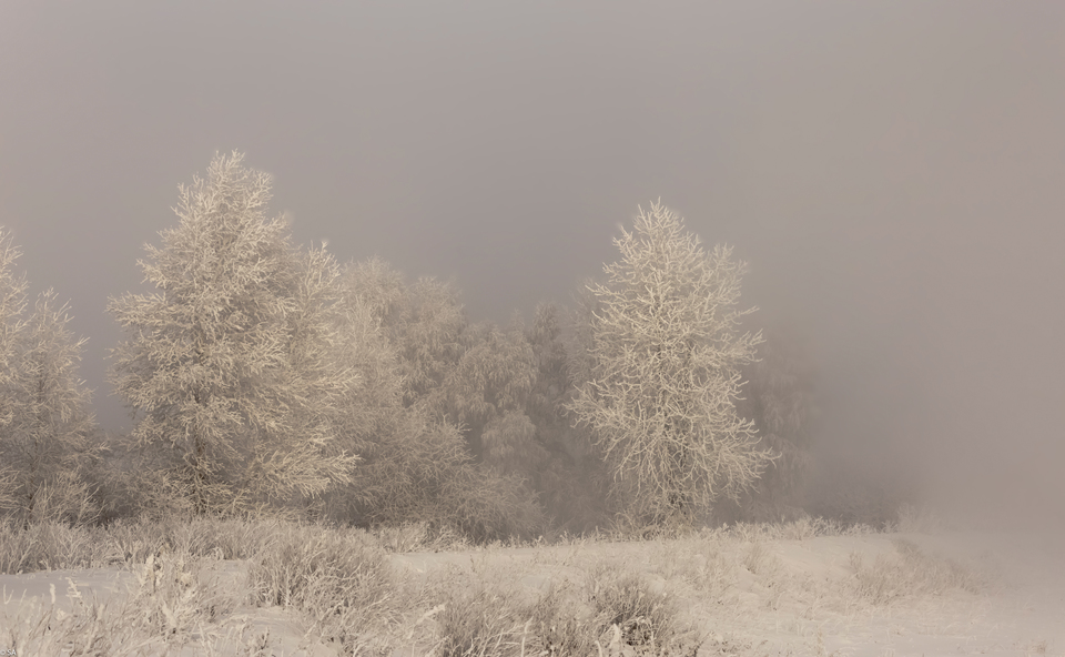 Свинцовый Туман - Зима фото